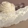 tulle brodé ivoire pour robe de mariée