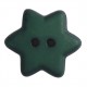 Bouton étoile 15 mm vert sapin