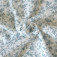 Tissu coton Bio double-gaze gaufré fleurs bleu sur blanc 